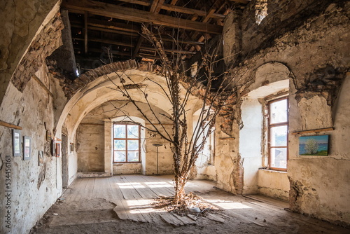 SEPTEMBER 9, 2022 Internal premises. Tree in the middle of an old castle room. Chinadiyev Castle (Saint Miklos) is an architectural monument of the 14-19th centuries, Chinadiyovo village,Ukraine. photo