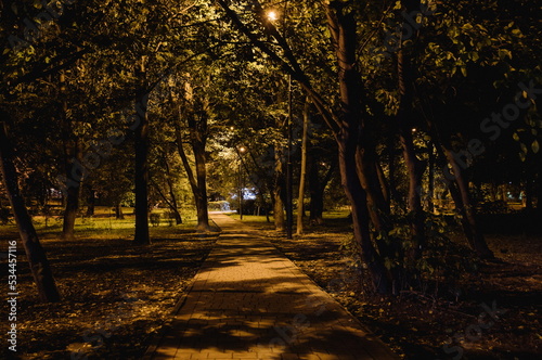 Summer night city park. Wooden benches  street lights  and green trees. The tiled road in the night park with lanterns. Illumination of a park road with lanterns at night. Lutsk