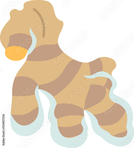 Ginger icon