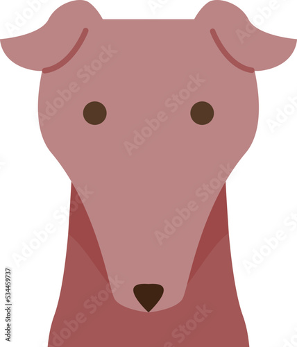 Greyhound icon