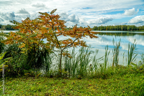 Jesień nad jeziorem