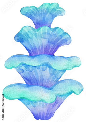 Cute mermaid .Watercolor marine illustration with fishes, mermaids, turtle in style, hand drawn icon png