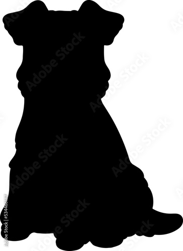 Simple and adorable Fox Terrier sitting in front view silhouette