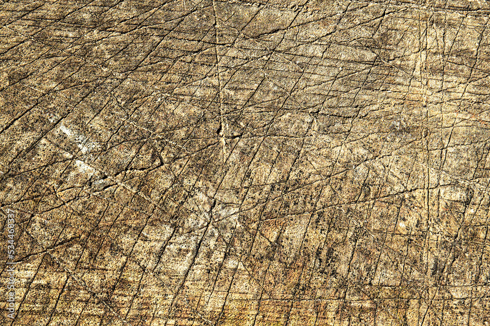 Fototapeta premium Weathered wooden texture with cuts making with ax.