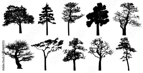 Png silhouette of isolated trees. 
