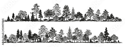 Trees sketch set. Hand drawn graphic forest. Composition of different trees, shrubs and grass isolated on white background. Vector illustration