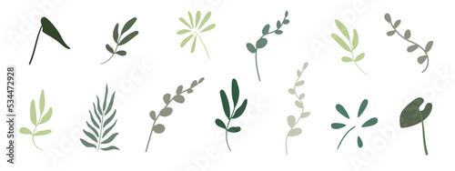 Fototapeta Naklejka Na Ścianę i Meble -  Tropical plants, eucalyptus branches, banana leaves, twigs, stems in naive style. Set of isolated vector botanical elements. Use for decor, design, stickers, tattoos, decorations, icons, symbols, etc.