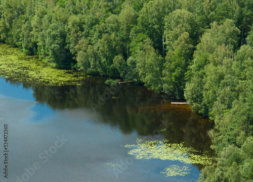 Forest near the river, view from above. Lake near sese with green pines and firs, aerial view. Pond in forest with green trees. Forest lake.