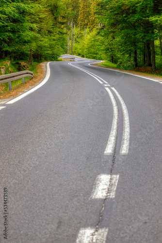 Winding mountain road in the woods