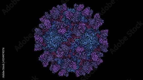 Structure of Coxsackievirus B1 mature virion in complex with neutralizing antibodies. photo