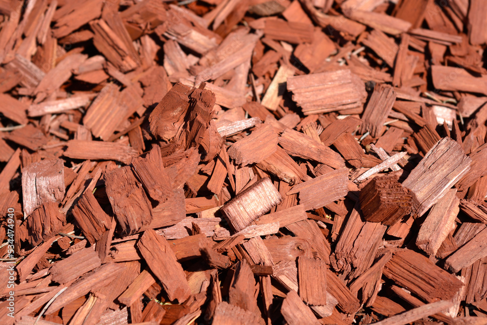 Wood chips Wood chips