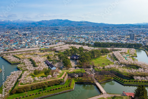 春の北海道・函館市の五稜郭タワーから見た、五稜郭周辺に咲き誇る桜と快晴の青空