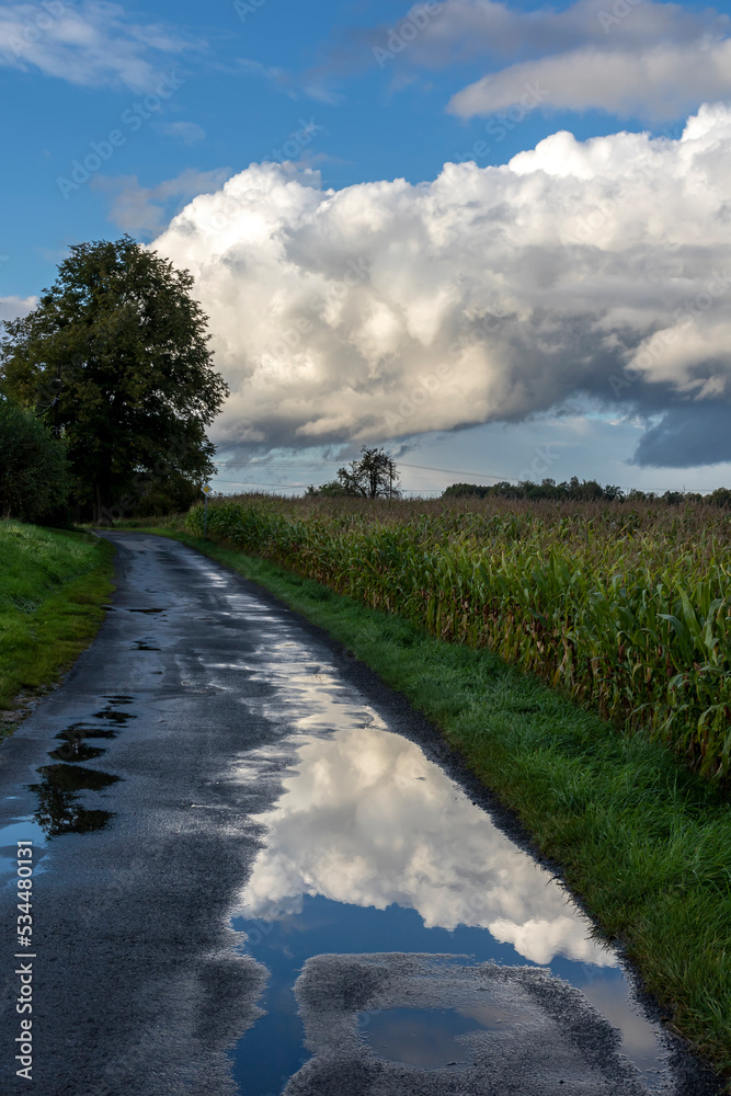 A country road with a puddle in which a dramatic cloud is reflected in the blue sky