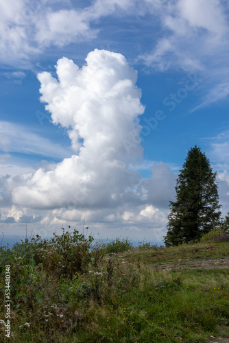 Forests on top of Równica under a sky with big white clouds