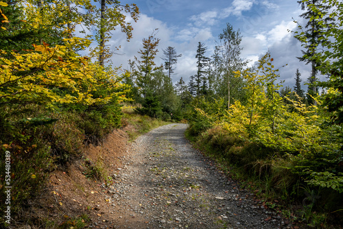 Mountain road between forests at the beginning of autumn