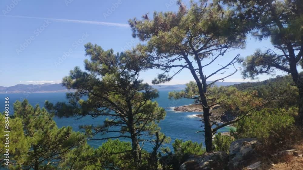 the sea and the coast in the background seen through the branches of the trees, pines in the forest, sunny day, shot turning left, Cíes Islands, Pontevedra, Galicia, Spain