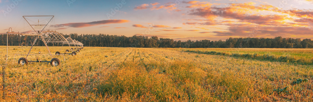 Obraz premium Panoramic View Of Sunset Sky Above Irrigation Pivot. Irrigation Machine At Agricultural Field With Young Sprouts, Green Plants On Black Soil. Farming Sprinklers In Field Irrigation, Watering Of Crops.