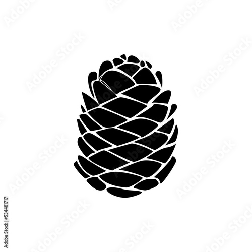 Pine cone. Line drawing. Black and white illustration. Vector.