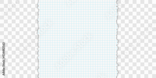 Torn squared paper edge vector illustration. Collage of 2 images. Stock royalty free vector illustration