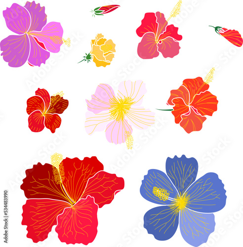 Sticker flower for print to T-shirt.Colorful set of Hibiscus flower isolate on black background.