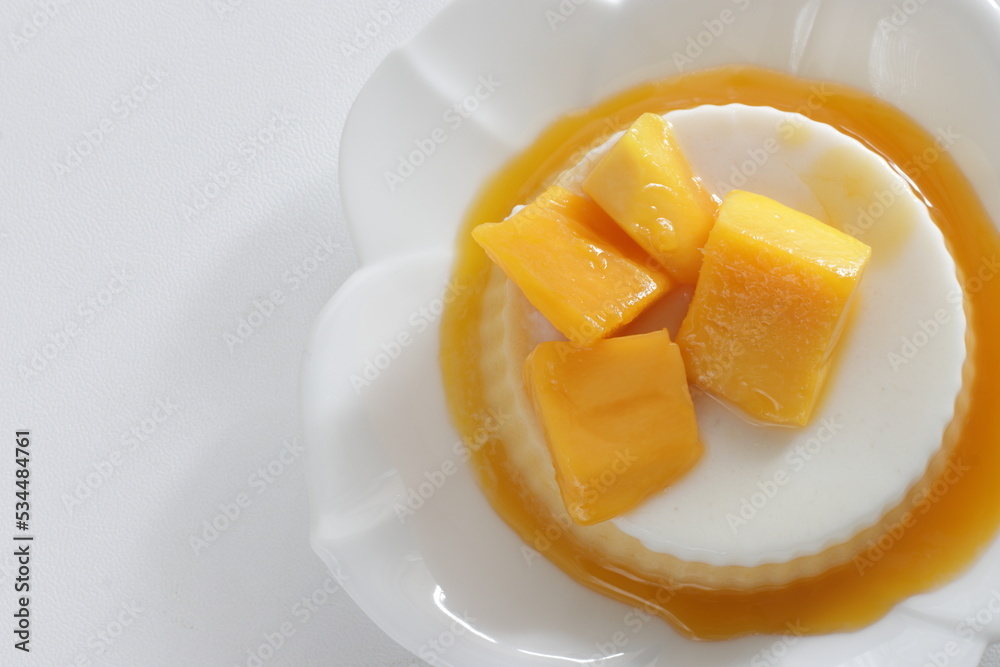 Homemade coconut milk and mango bi-color Kanten Jelly for tropical sweet food image Homemade coconut milk and mango bi-color Kanten Jelly for tropical sweet food image