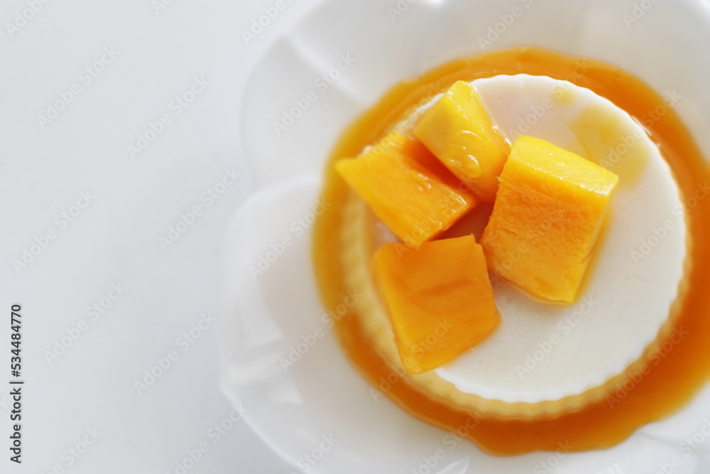Homemade coconut milk and mango bi-color Kanten Jelly for tropical sweet food image Homemade coconut milk and mango bi-color Kanten Jelly for tropical sweet food image