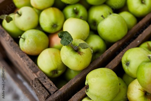 Fresh green apples on the wooden boxes  harvest  space for your text  local market or supermarket  Ukraine apples.