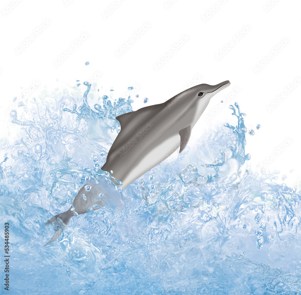 dauphin à bosse de l'atlantique, saut, vague, mammifère, marin, poisson