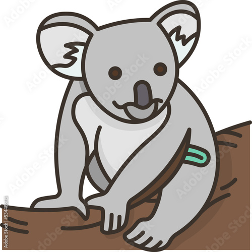 Photography koala icon