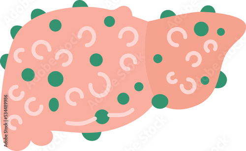 liver icon