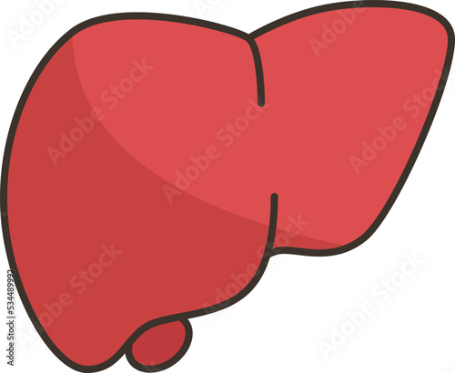 liver icon