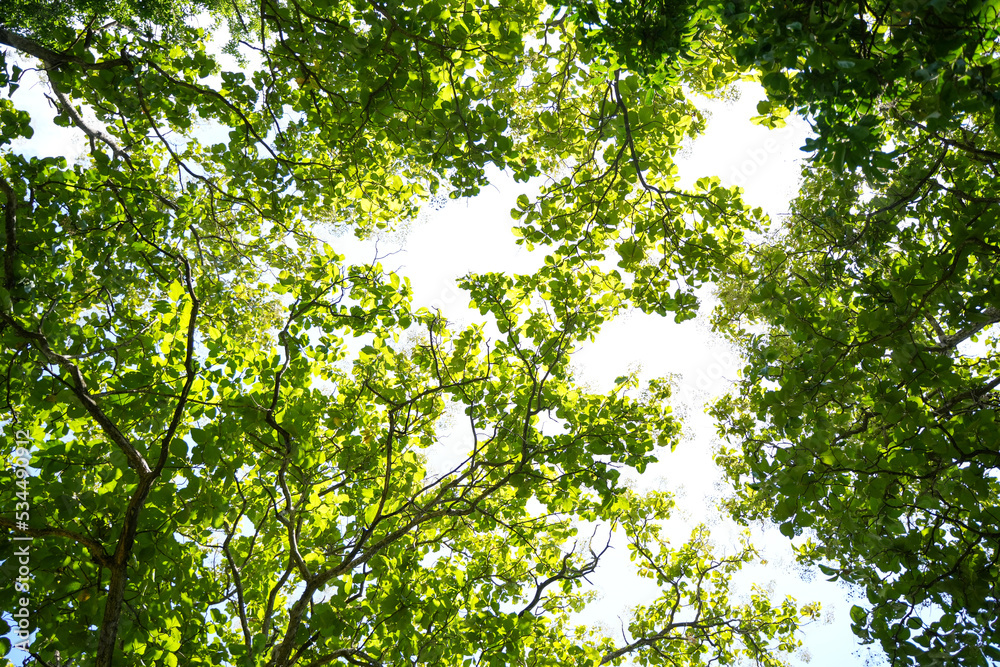 circular economy icon Circular economy concept for future business growth and environmental sustainability and reduce pollution for future business and environmental growth. circular economy icon Circular economy concept for future business growth and environmental sustainability and reduce pollution for future business and environmental growth.