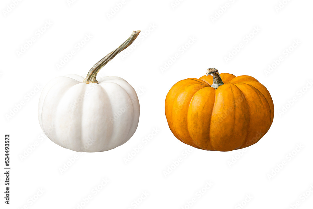 Whole pumpkins isolated on white background. Clipping Path. Full Depth of field. Focus stacking Whole pumpkins isolated on white background. Clipping Path. Full Depth of field. Focus stacking