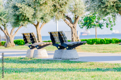 empty wooden bench in park. solitude and peace. calm environment. unbrace oneself

