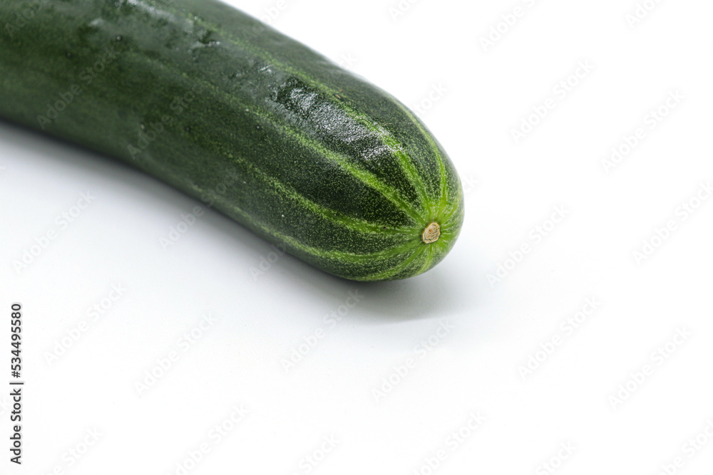 isolated cucumber on white background isolated cucumber on white background