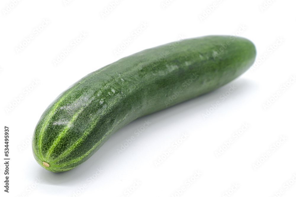 isolated cucumber on white background isolated cucumber on white background