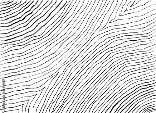 Abstract texture illustration of curved lines hand drawing on white background