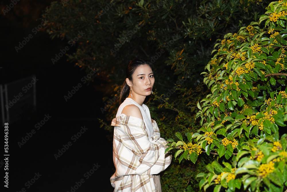 夜の街を歩く女性 夜の街を歩く女性