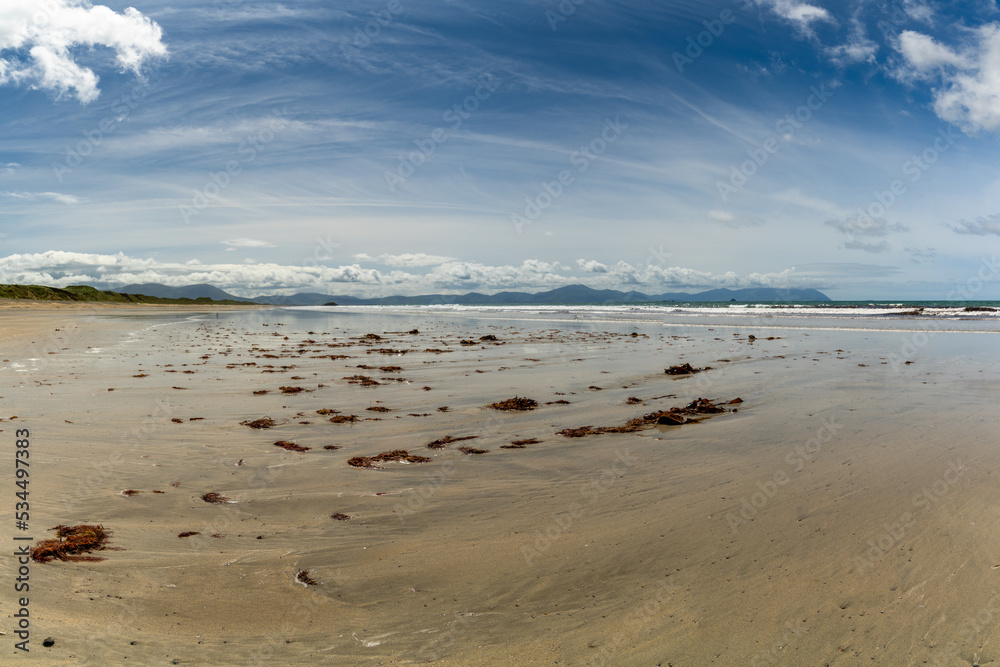 view of the endless golden sand beach in Ballyheigue with red algae in the foregorund view of the endless golden sand beach in Ballyheigue with red algae in the foregorund