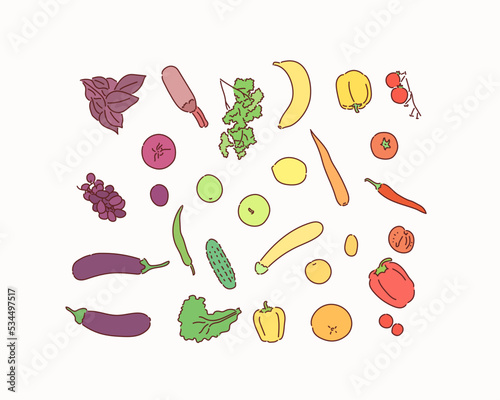 Top view of various fresh vegetables. Hand drawn style vector design illustrations.
