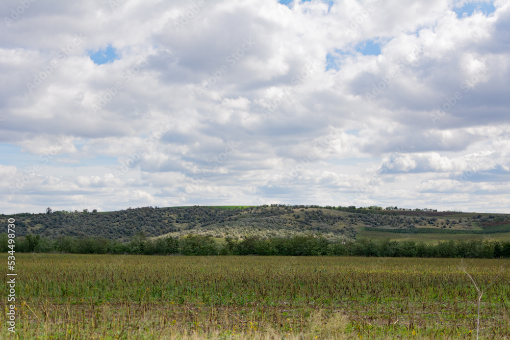 Obraz premium Hill landscape. Green hills, field and forest against a beautiful cloudy blue sky. Landscapes of Moldova