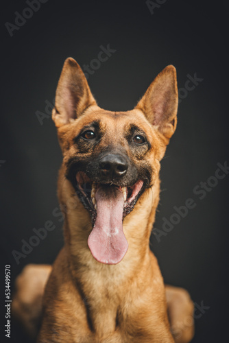 portrait of a shepherd