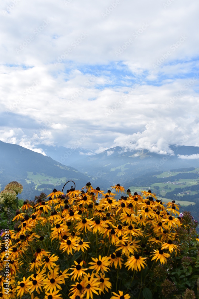 Blumen-Natur-Alpen-Wolken