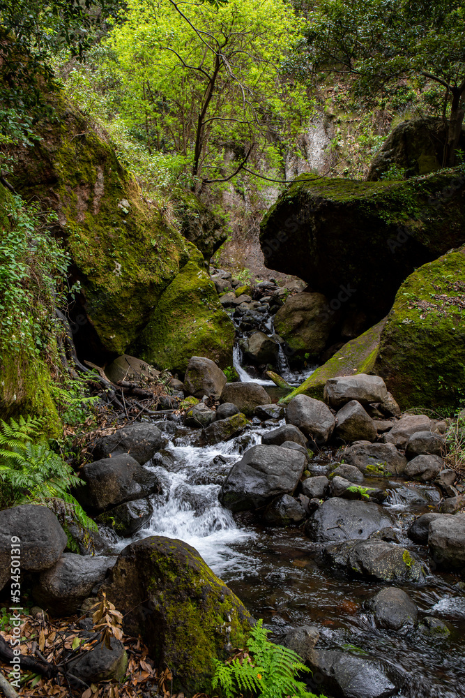 The Levada do Moinho to Levada Nova waterfall hike The Levada do Moinho to Levada Nova waterfall hike