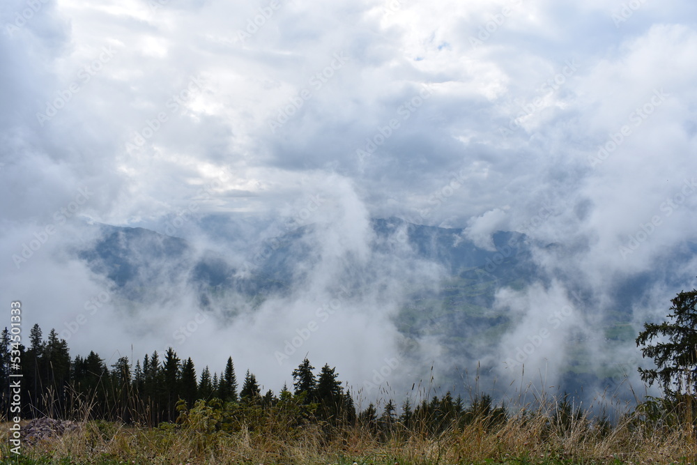 Alpen-Berge-Wälder-Wiesen-Tal Alpen-Berge-Wälder-Wiesen-Tal
