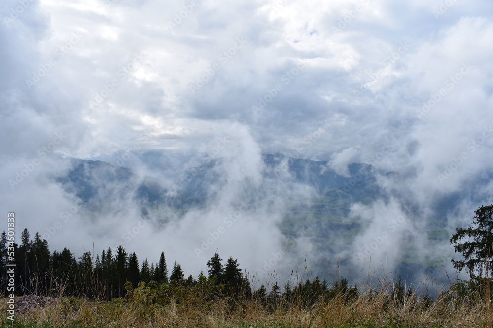 Alpen-Berge-Wälder-Wiesen-Tal