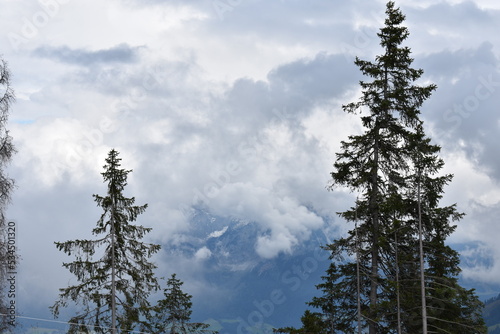 Alpen-Berge-Wälder-Wiesen-Tal