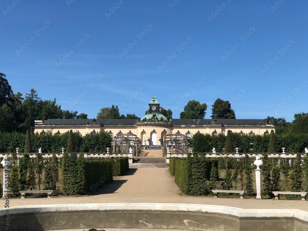 Fototapeta premium garden in the park