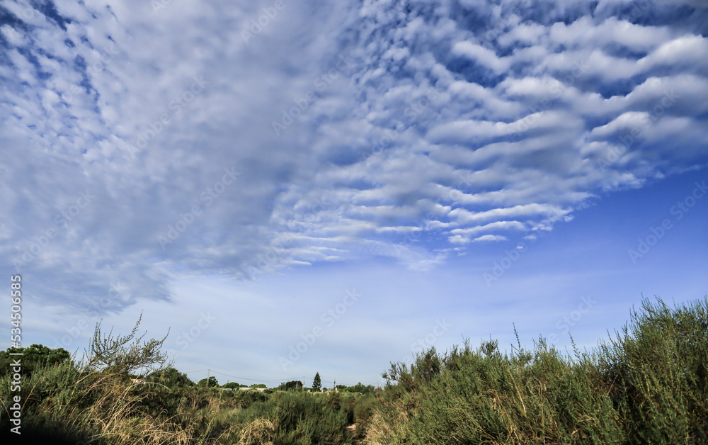 Obraz premium Beautiful landscape in the countryside with Altocumulus clouds