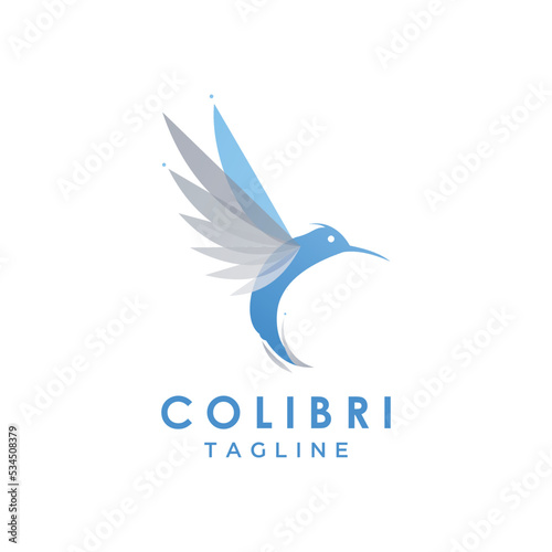 Colorful Colibri. Hummingbirds Logo